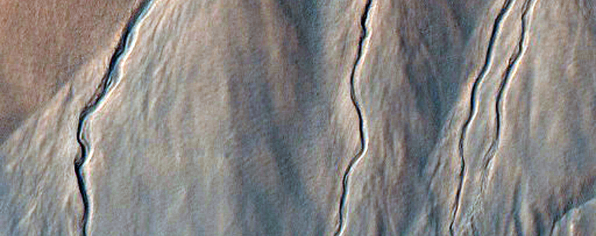 Gully Monitoring