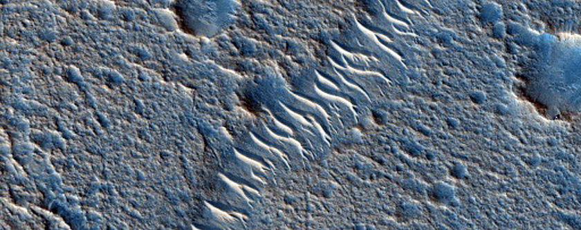 Fractures in Chryse Planitia