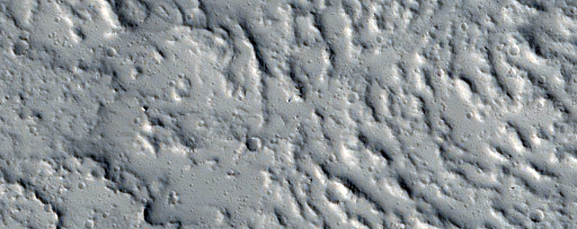 Sample of Long Lava Flows Northeast of Tharsis Tholus