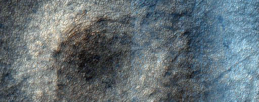 USGS Dune Database Entry Number 0796-780
