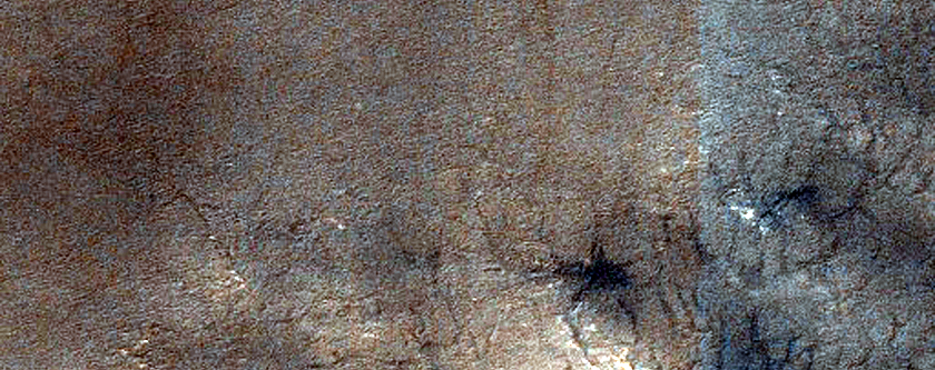 USGS Dune Database Entry Number 2069-774