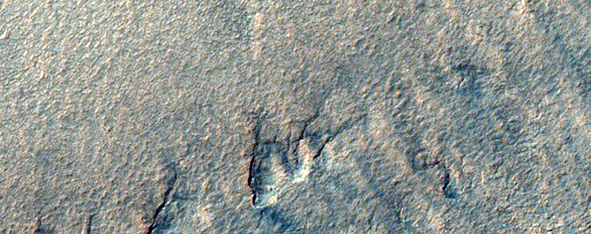 USGS Dune Database Entry Number 2201-790
