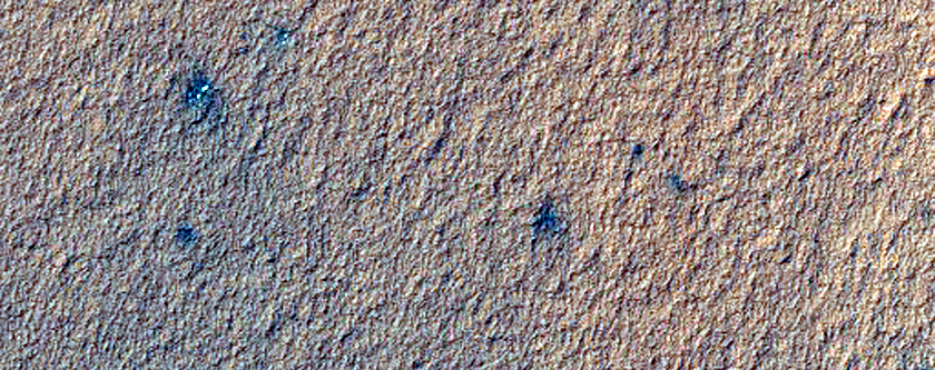 USGS Dune Database Entry Number 1350-788