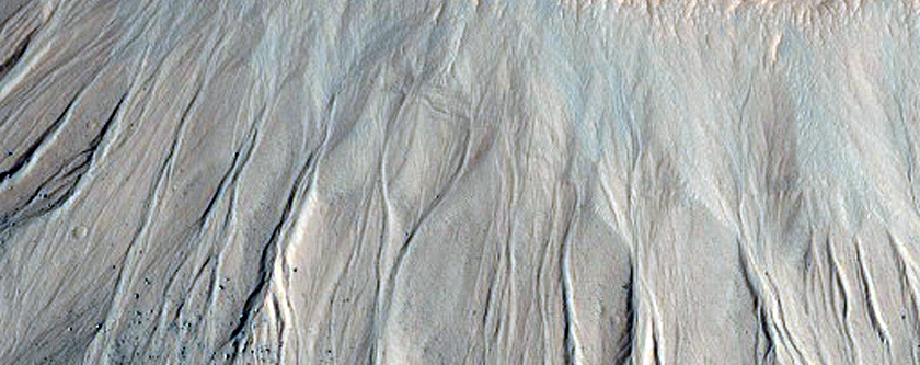 Crater with Possible Gullies