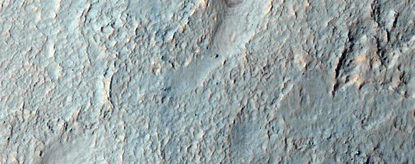 Gullies in Noachis Terra Crater