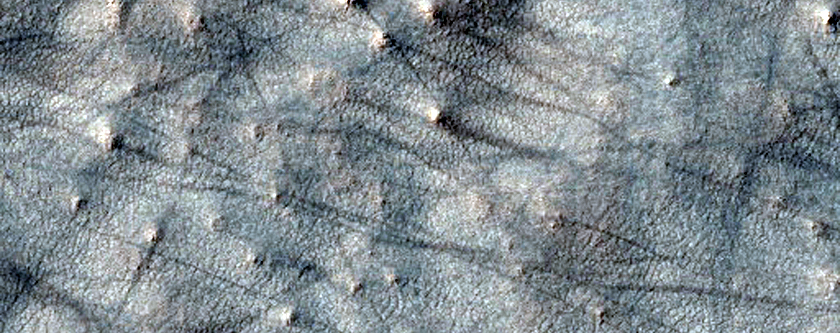 Knobby Deposit in Hollow