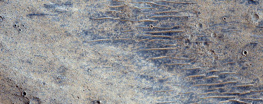 Wrinkle Ridges
