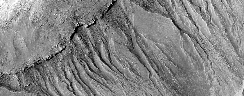 Gullies in Mid-Latitude Crater
