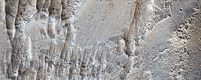 Light-Toned Layered Material in Northwest Schiaparelli Crater