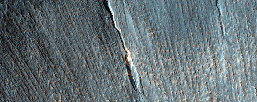 Gully with Possible Bright Deposit