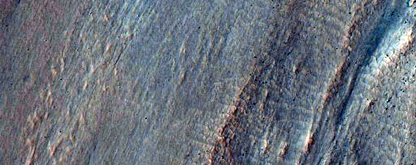 Gully Monitoring