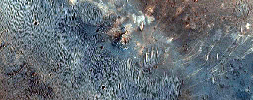 Candidate 2020 Mission Landing Site in Nili Fossae