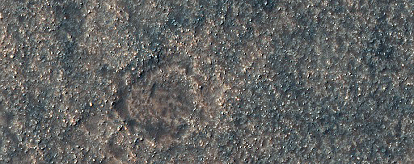 Possible Olivine-Rich Area in Nansen Crater