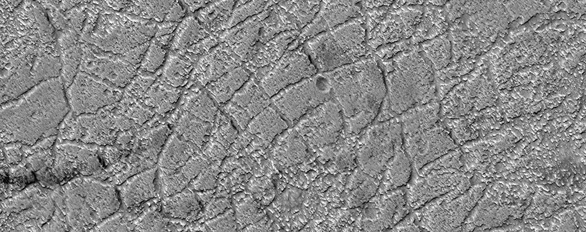 Polygonal Patterned Ground in Eastern Argyre Region