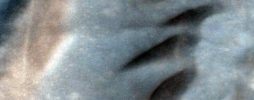 USGS Dune Database Entry Number 1160-690
