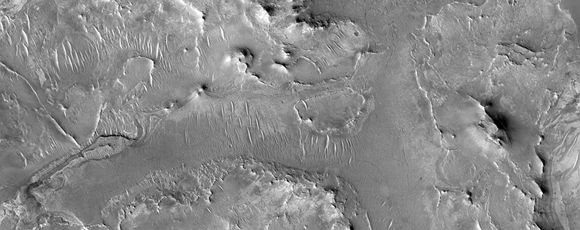 Possible Phyllosilicates in Nili Fossae Crater