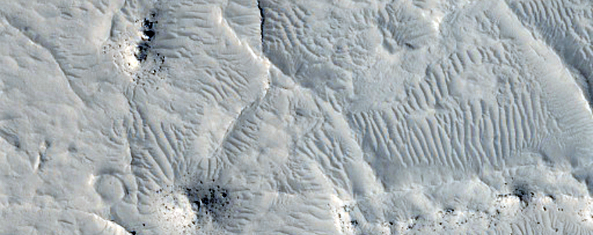 Des crtes dans Elysium Planitia orientale