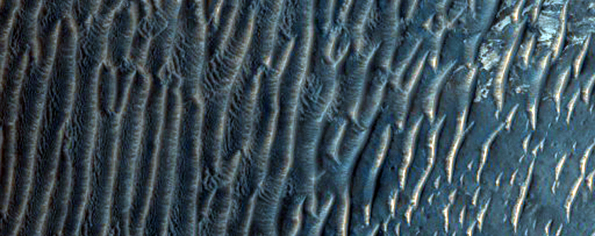 Lloc de contacte entre roca subjacent brillant i dunes fosques a la zona nord de Melas Chasma