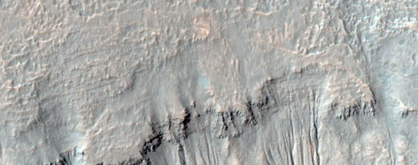 Gullies with Bright Deposits