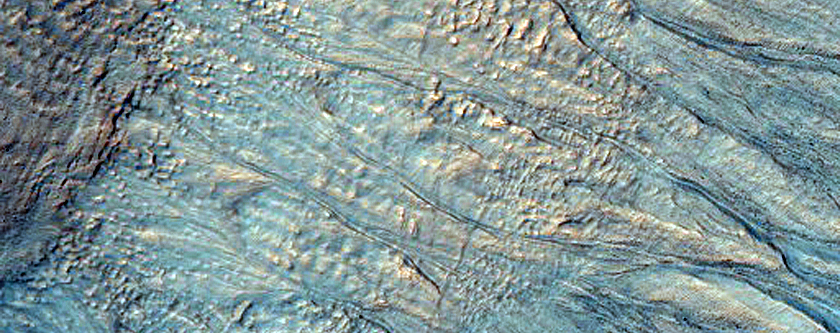 Recurring Slope Lineae Monitoring in Newton Crater