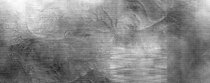 Spider Topography