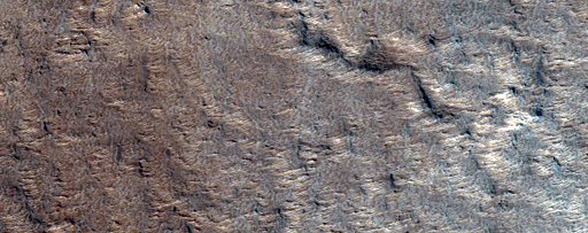 Monitoring New Impact Site