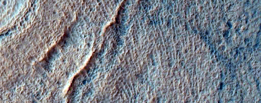 Gully Monitoring