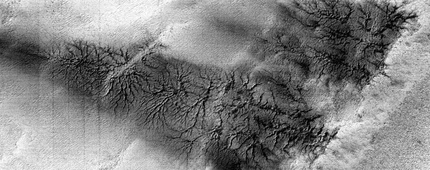 Giant Spiders in Interesting Terrain
