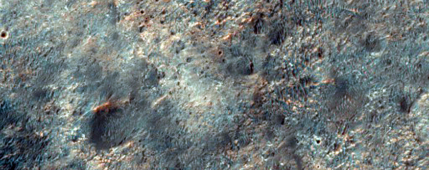 Возможное место посадки миссии 2020 года в кратере Kashira
