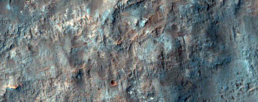 Candidate Landing Site for 2020 Mission in Ladon Valles