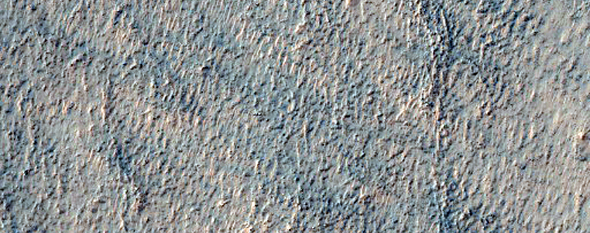 Ridges and Gullies Near Terra Sirenum