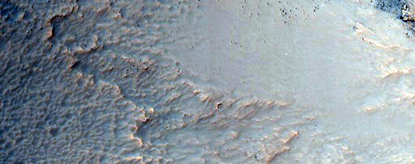 Gullies in Southern Mid-Latitude Crater