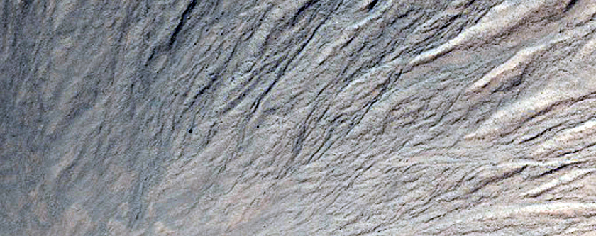 Gullies in Southern Mid-Latitude Crater