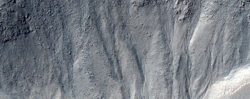 Small Gullies in Crater on Rim of Arkhangelsky Crater