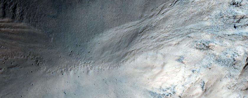 Gullies in Southern Mid-Latitude Crater