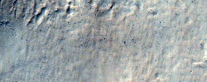 Terrain in Terra Cimmeria
