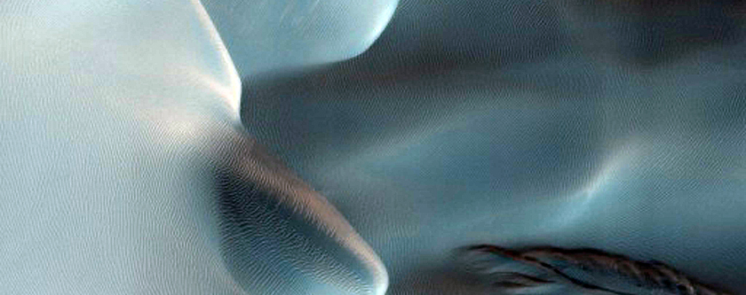 Dune Gully Monitoring