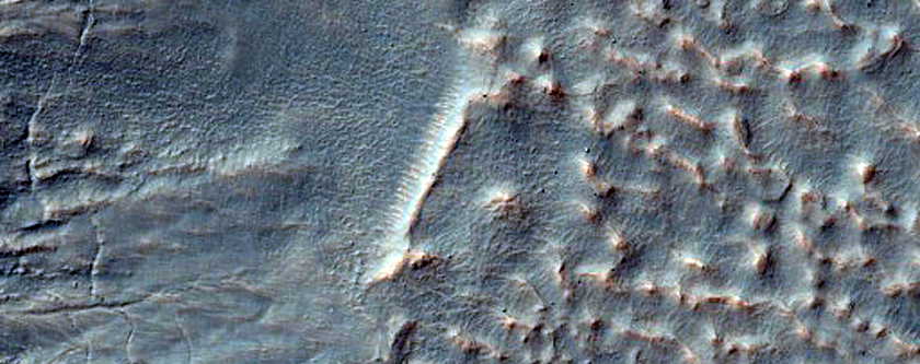 Gullies in a Southern Mid-Latitude Crater Near Sirenum Fossae