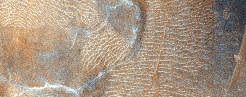Candidate Landing Site for 2020 Mission in Melas Chasma
