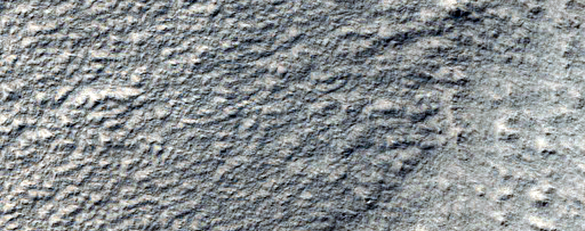 Spider-Rich Layers on Rim of Reynolds Crater