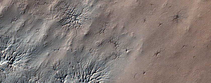Evolution of Spider Terrain