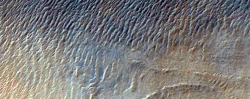Gully Monitoring
