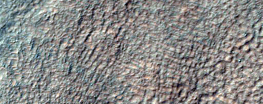 Gully Monitoring
