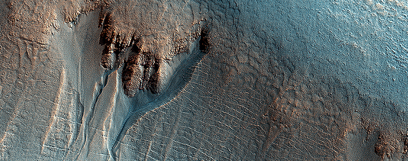 Gullies on the Wall of an Unnamed Crater in Utopia Planitia