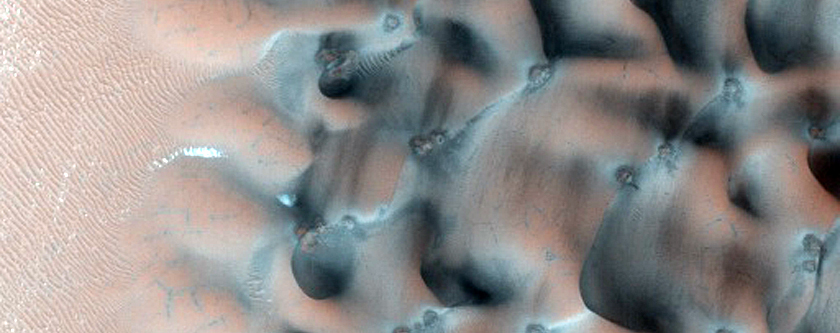 Spring Monitoring of Intra-Crater Dunes
