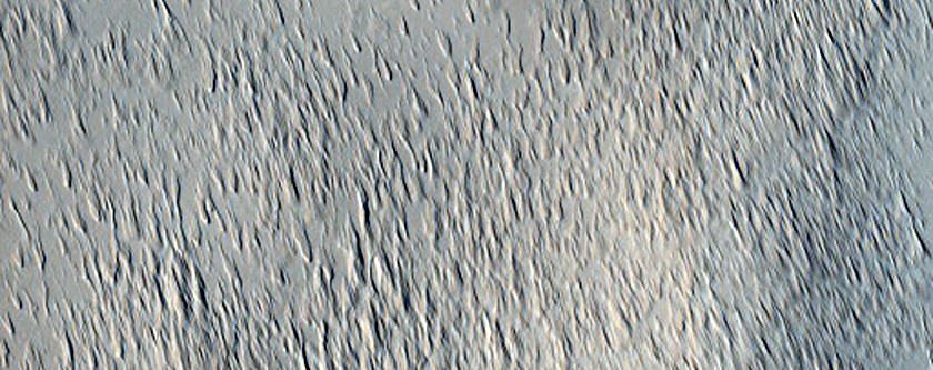 Candidate Impact Site