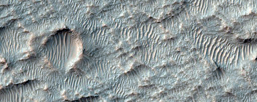Branching Radial Ridges within Shallow-Floored Crater