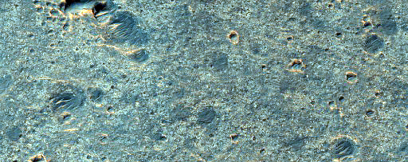 Candidate Landing Site for 2020 Mission in Oxia Palus Region