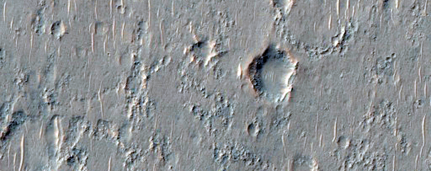 Bedrock with Diverse Compositions
