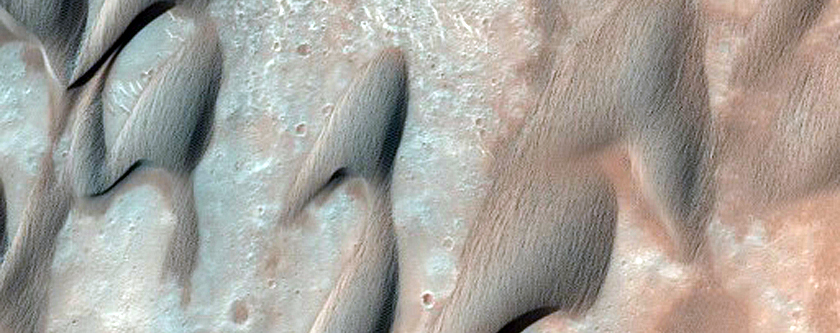 Herschel Crater East Dune Monitoring